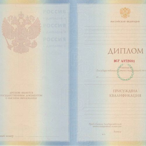 Диплом специалиста 2009-2010